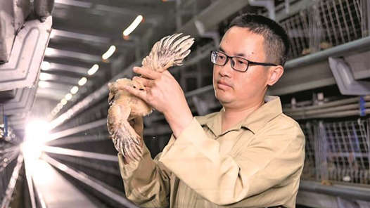 身邊的大國工匠·2025年“大國工匠年度人物”⑧｜數(shù)智賦能中國畜牧騰飛