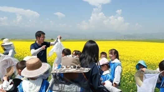 青海打造主題研學旅游產(chǎn)品矩陣