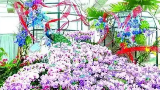 北京：千園之城，花事正酣