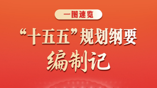 一圖速覽｜“十五五”規(guī)劃綱要編制記