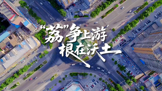 “荔”爭上游 根在沃土
