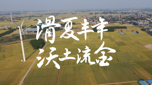 滑夏豐年 沃土流金
