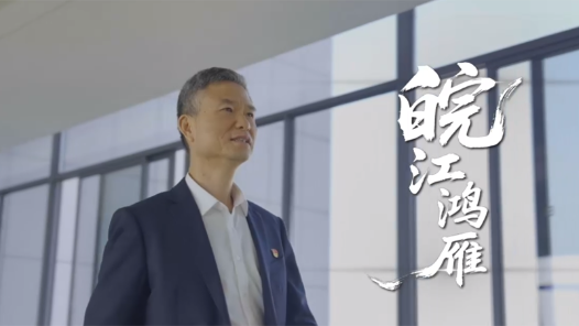 宋武：皖江鴻雁