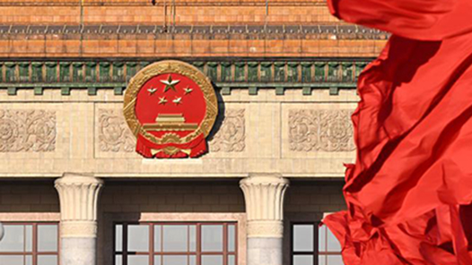 樹立和踐行正確政績觀｜在真查實改上下功夫