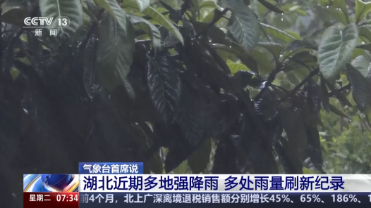 視頻丨湖北多地出現(xiàn)特大暴雨 專家詳解降雨成因