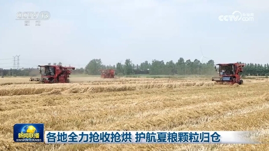 各地全力搶收搶烘 護航夏糧顆粒歸倉