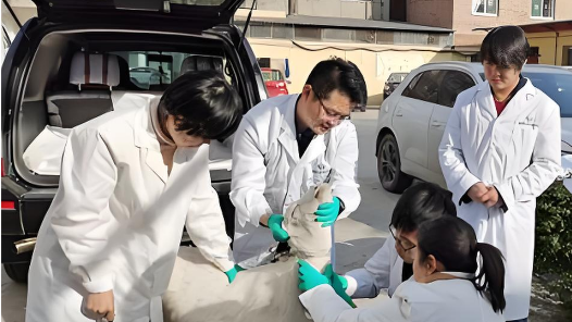 青海省西寧市舉辦第十一屆動物防疫職業(yè)技能競賽