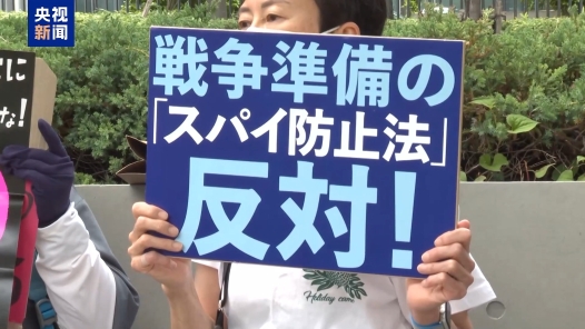 視頻｜日本學(xué)者：政府應(yīng)重新審視和平憲法意義
